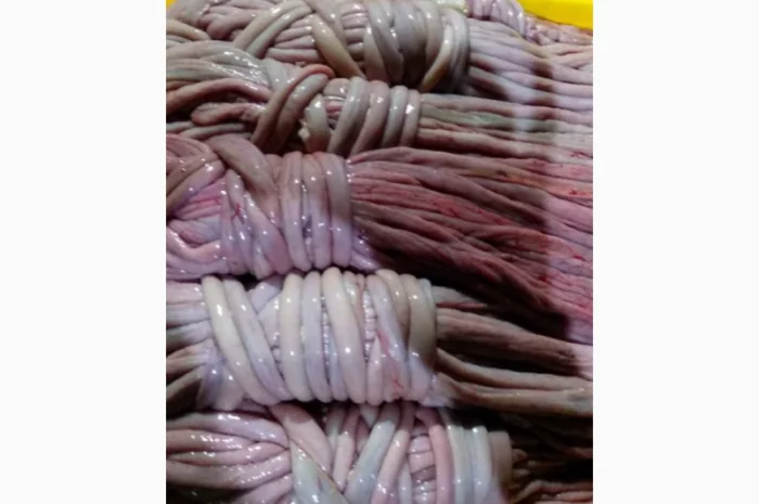 Куплю свиную кишку- фото № 1