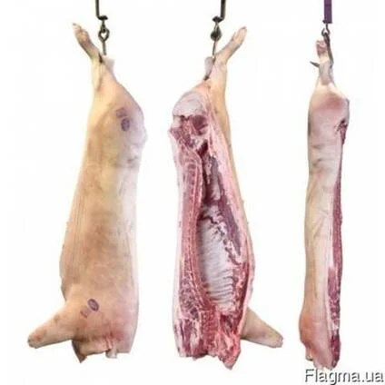 Свинина/говядина в полутушах- фото № 1