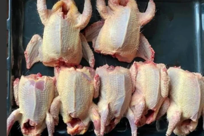 М'ясо м'ясних голубів- фото № 2