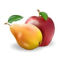 Куплю яблука товарні, грушу- фото № 1