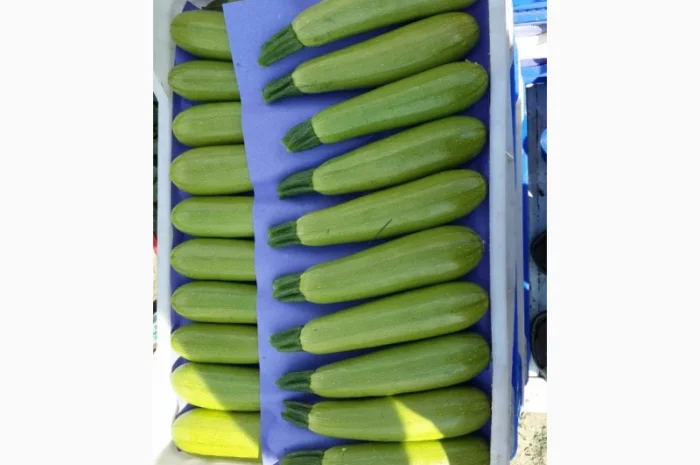 Цитрусові та овочі з Туреччини від постачальника- фото № 19