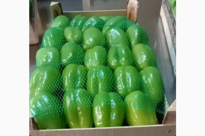 Цитрусові та овочі з Туреччини від постачальника- фото № 17