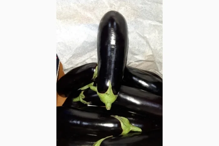 Цитрусові та овочі з Туреччини від постачальника- фото № 16