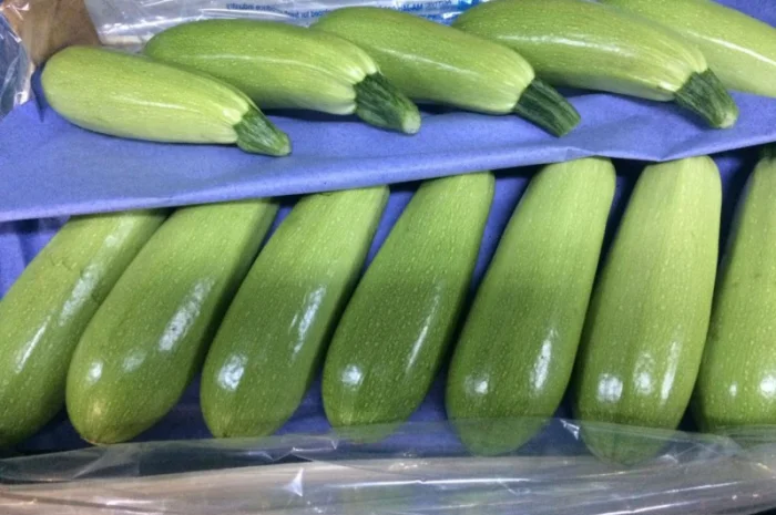 Цитрусові та овочі з Туреччини від постачальника- фото № 15