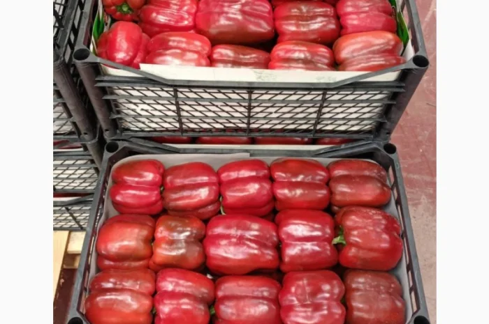 Цитрусові та овочі з Туреччини від постачальника- фото № 14