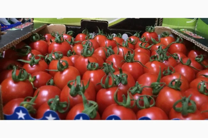 Цитрусові та овочі з Туреччини від постачальника- фото № 12