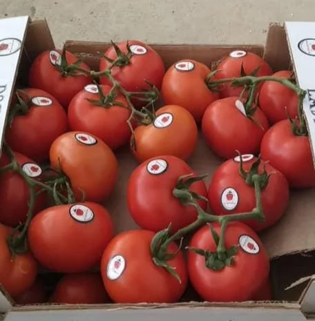 Цитрусові та овочі з Туреччини від постачальника- фото № 10