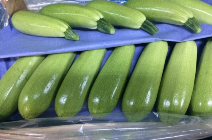 Цитрусові та овочі з Туреччини від постачальника- фото № 8