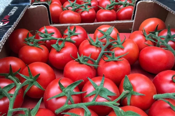 Цитрусові та овочі з Туреччини від постачальника- фото № 7