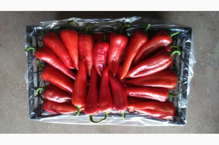 Цитрусові та овочі з Туреччини від постачальника- фото № 5