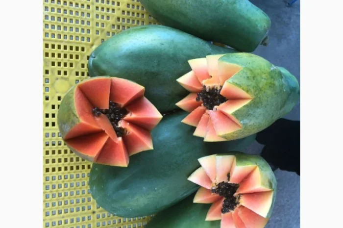 Продам бананы, ананасы и другую продукцию от поставщика с Коста Рики с 20 тонн- фото № 2