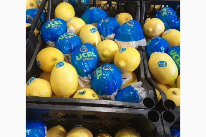 Продам мандарини та лімони від поставщика з 5 тонн- фото № 2