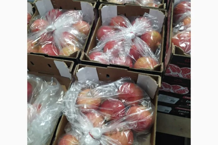 Продаются овощи и фрукты от поставщика от 5 тонн- фото № 10