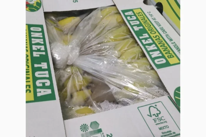 Продаются овощи и фрукты от поставщика от 5 тонн- фото № 9