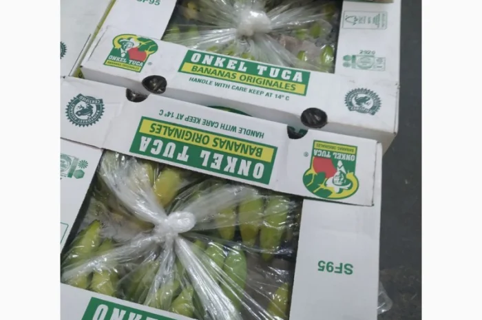 Продаются овощи и фрукты от поставщика от 5 тонн- фото № 8