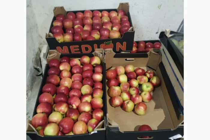 Продаются овощи и фрукты от поставщика от 5 тонн- фото № 7