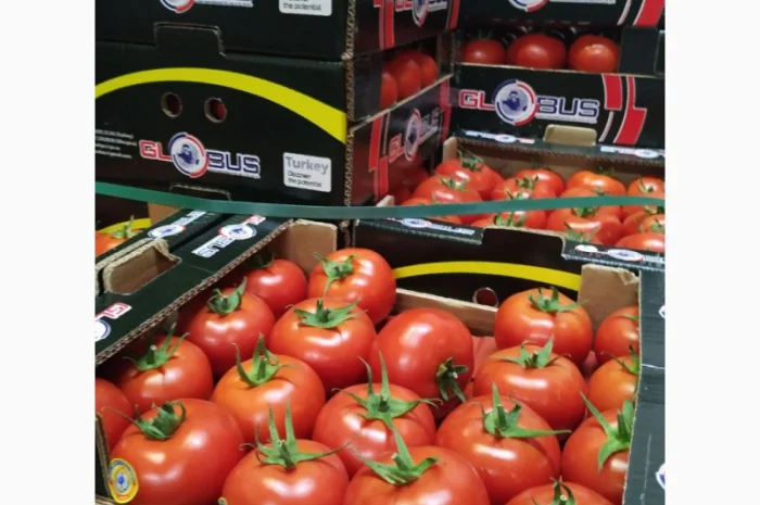 Продаются овощи и фрукты от поставщика от 5 тонн- фото № 5