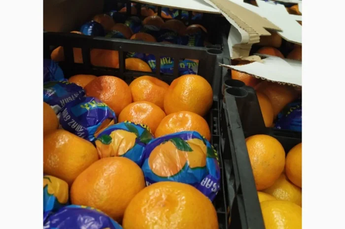 Продаются овощи и фрукты от поставщика от 5 тонн- фото № 3