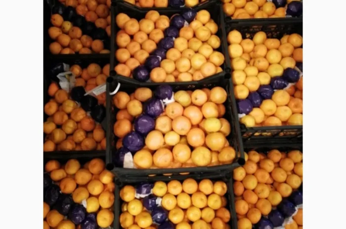 Срочно продам апельсіни, мандарини та лимони від постачальника- фото № 1