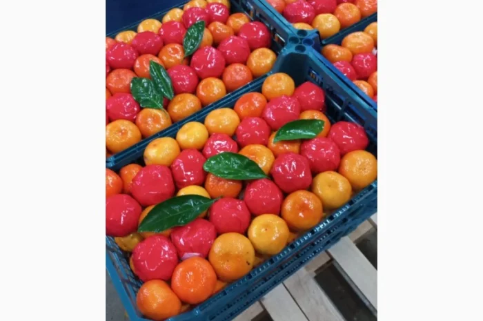 Срочно продам апельсіни, мандарини та лимони від постачальника- фото № 2