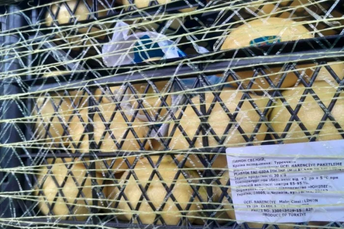 Срочно продам апельсіни, мандарини та лимони від постачальника- фото № 5