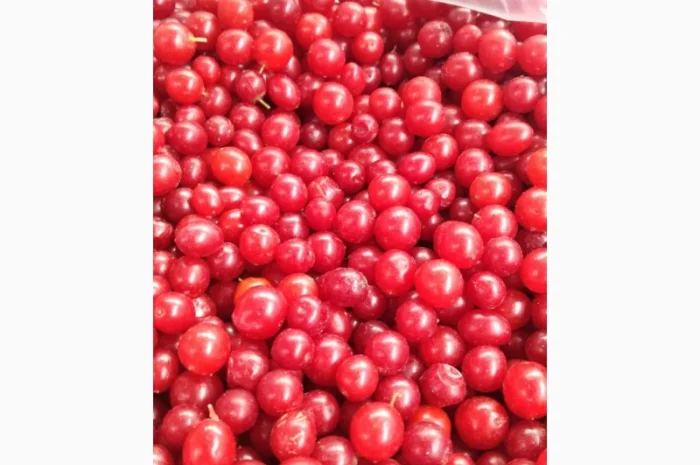 Продається заморожена калина в упаковках- фото № 1