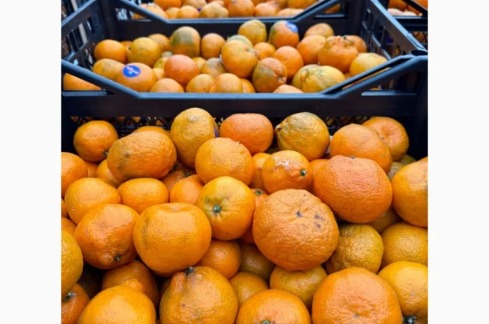 Продам грузинские мандарины и лимоны, Опт, Крупный и мелкий- фото № 1