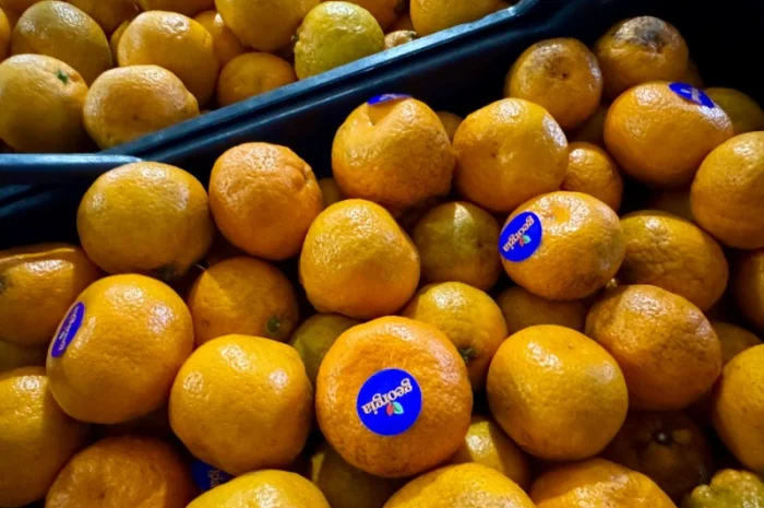 Продам грузинские мандарины и лимоны, Опт, Крупный и мелкий- фото № 2