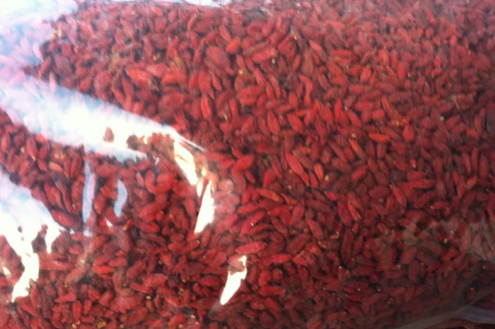 500 Ягоди годжі (Ягоды Годжи) опт и розница- фото № 4