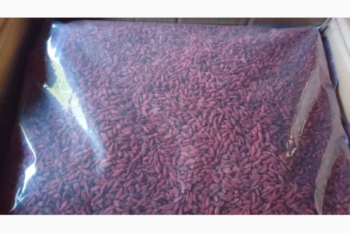 500 Ягоди годжі (Ягоды Годжи) опт и розница- фото № 1