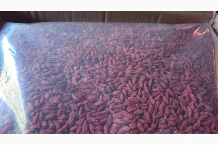 500 Ягоди годжі (Ягоды Годжи) опт и розница- фото № 3