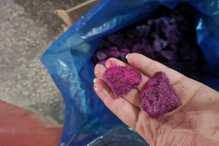 Продам пітахайю червону- фото № 2