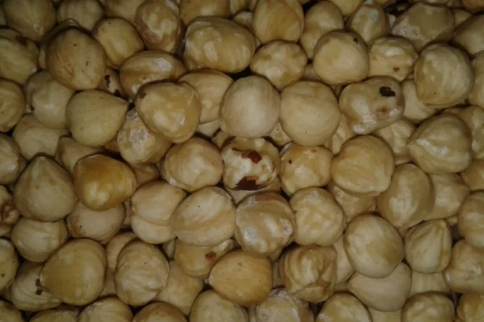 Орехи: бразильский, макадамия, фундук, пекан миндаль, кешью, фисташки, Ассортимент орехов- фото № 4