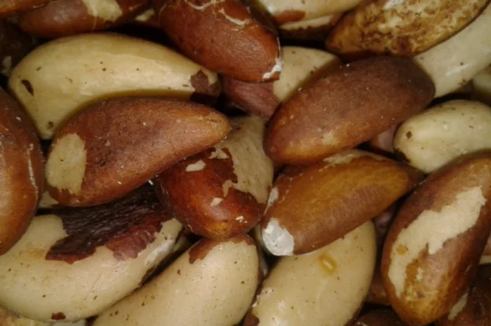 Орехи: грецкий, бразильский, макадамия, фундук, пекан, миндаль, кешью, фисташки от 1 кг- фото № 2