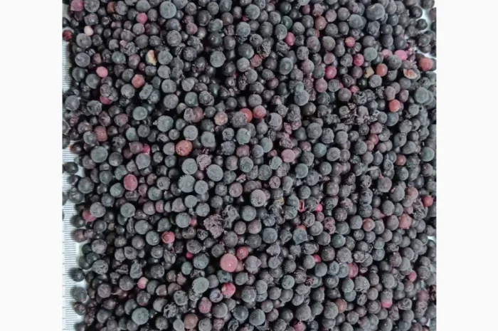 Горобина заморожена- фото № 1