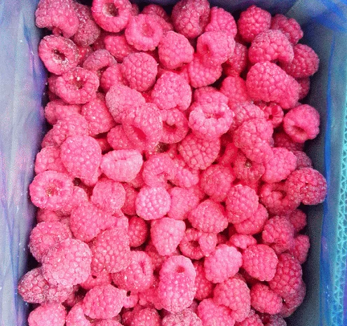 Продається заморожена малина та ожина- фото № 1