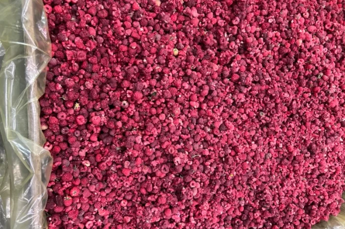 Продам заморожену продукцію: Малину, шиповнік, бузина, ожина- фото № 11