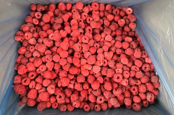 Продам заморожену продукцію: Малину, шиповнік, бузина, ожина- фото № 20