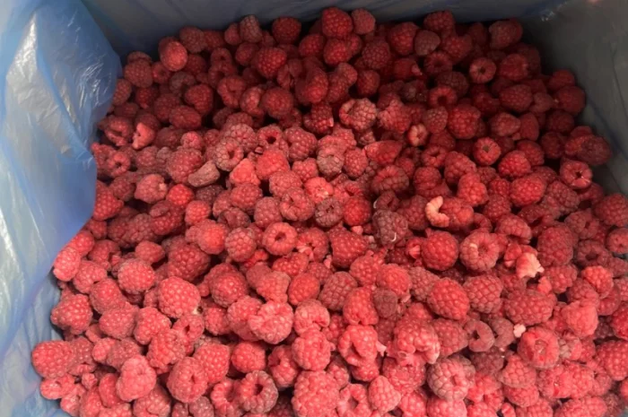 Продам заморожену продукцію: Малину, шиповнік, бузина, ожина- фото № 19