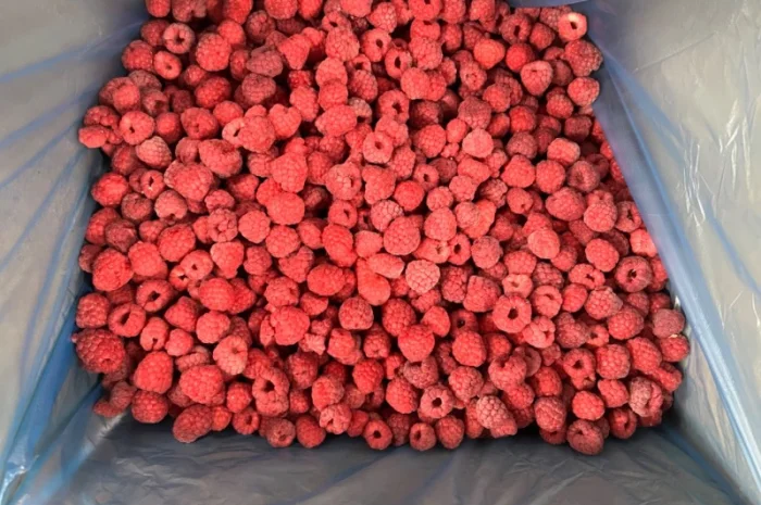 Продам заморожену продукцію: Малину, шиповнік, бузина, ожина- фото № 17