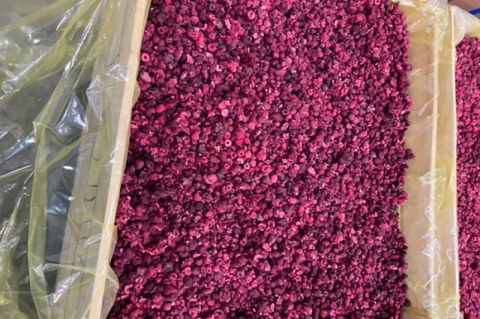 Продам заморожену продукцію: Малину, шиповнік, бузина, ожина- фото № 14