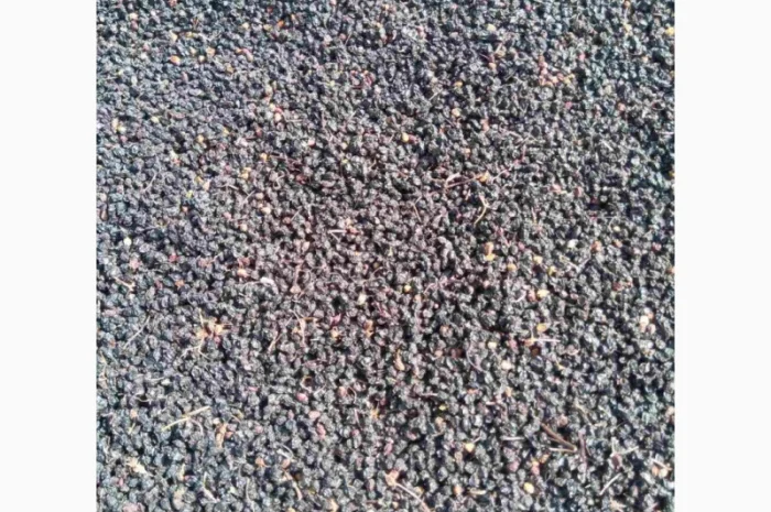 Закупаем Сухую ягоду бузины, красную рябину, шиповник.Самовывоз- фото № 1