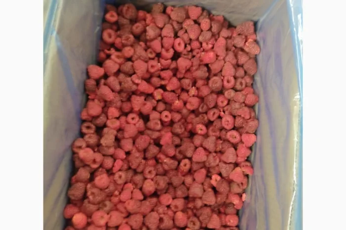 Куплю! Малину, смородину, вишню( без хвостиків)- фото № 1