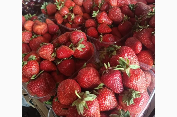 Купую Черешню Полуницю Лохину- фото № 1