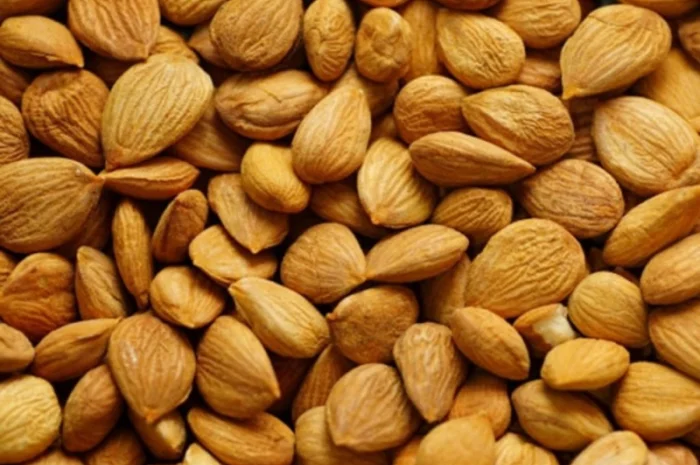 Продаём абрикосовые сладкие и горькие косточки- фото № 3