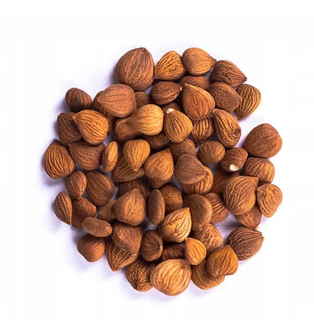 Ядро горькой абрикосовой косточки- фото № 2