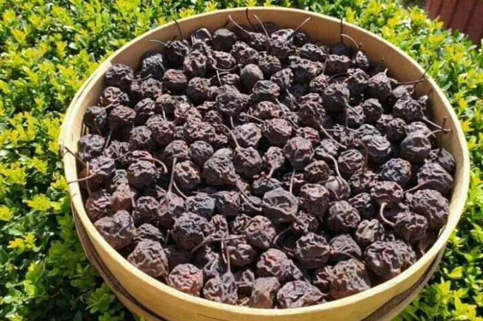 Продам сушку з домашніх яблук та груш(дичка та різана)- фото № 1