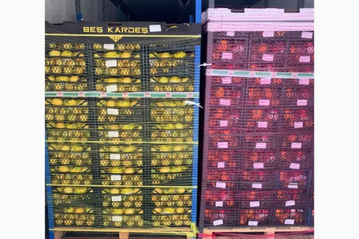 Продам Апельсин, Лимон, Мандарин Туреччина- фото № 3