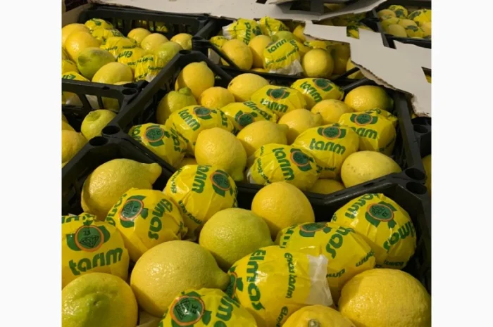 Продам Апельсин, Лимон, Мандарин Туреччина- фото № 5