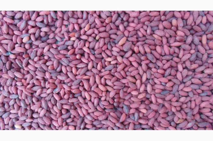 Сушена малина смородина полуниця яблука груша- фото № 1